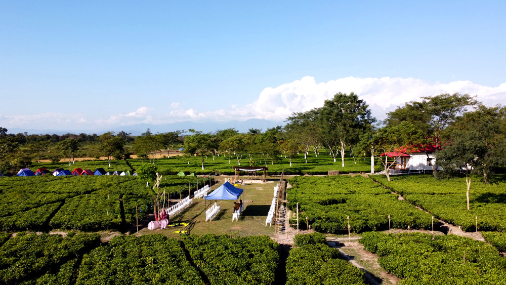 FolkTea Festival at Hatipoti Tea Estate